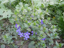 DSCN1799