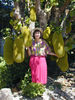 jackfruit