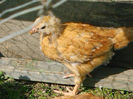IMG_20130419_160145