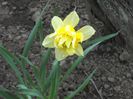 DSCN5166