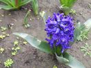 DSCN5182