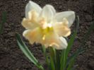 DSCN5317