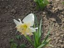 DSCN5319