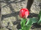 DSCN5287