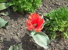 DSCN5314