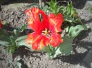DSCN5329