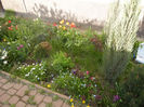 Spring colors (2013, April 19)
