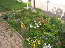 Spring colors (2013, April 19)