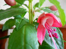 DSCN3974