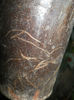 DSCN3970