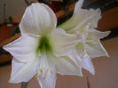 DSCN3979