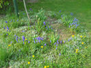 DSCN3982