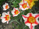 DSCN3984