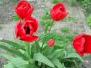 DSCN3987
