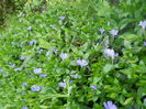 DSCN3995