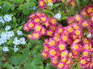 DSCN4004