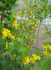 DSCN4007