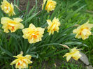 DSCN4009