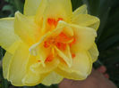 DSCN4010