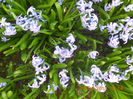 DSCN2992