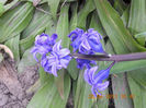 DSCN2952