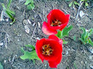 Fotogr.0875