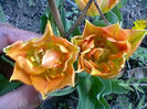 Fotogr.0876