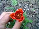 Fotogr.0879
