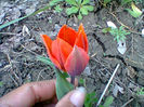 Fotogr.0880