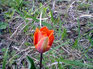 Fotogr.0886