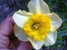 Fotogr.0901