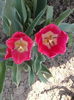 2013-04-21 12.55.45