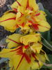 2013-04-21 12.53.04