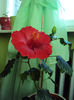 DSC02755