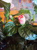 DSC02758