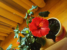 DSC02760