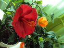 DSC02839
