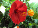 DSC02840