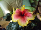 DSC02900