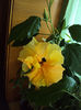 DSC02924