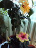 DSC02926