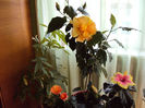 DSC02928