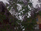 DSCN8214_3685