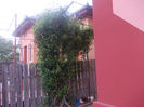 DSCN8215_3686