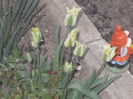 DSCN8189_3660