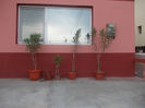 DSCN8191_3662