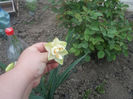 DSCN8192_3663