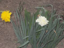 DSCN8203_3674