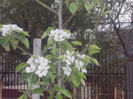 DSCN8207_3678