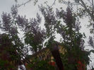 DSCN8209_3680